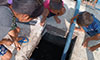 thumbnail of image 3