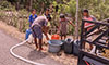 thumbnail of image 5